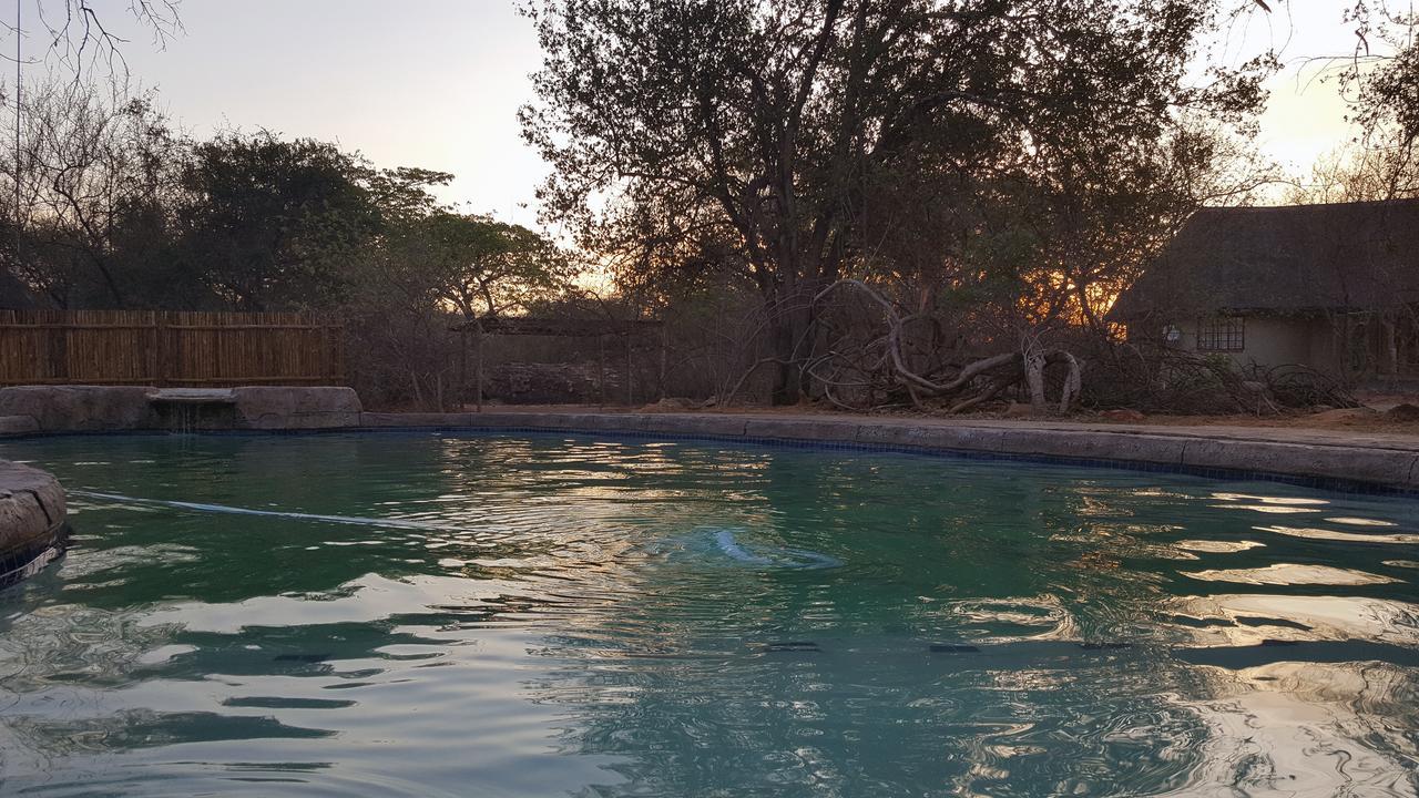 Awelani Lodge Masisi エクステリア 写真