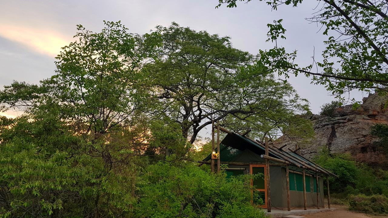Awelani Lodge Masisi エクステリア 写真